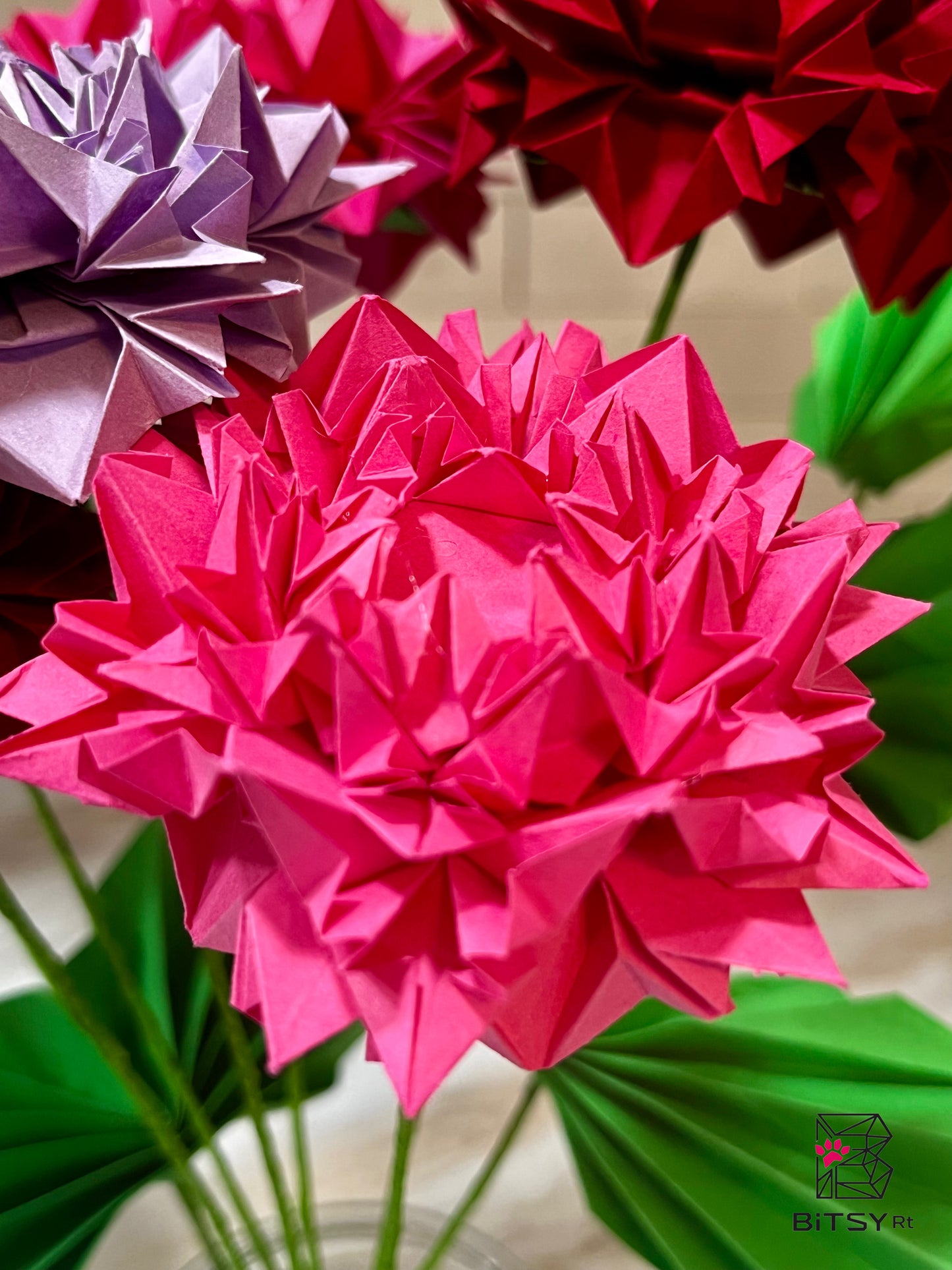 Chinese Peony
