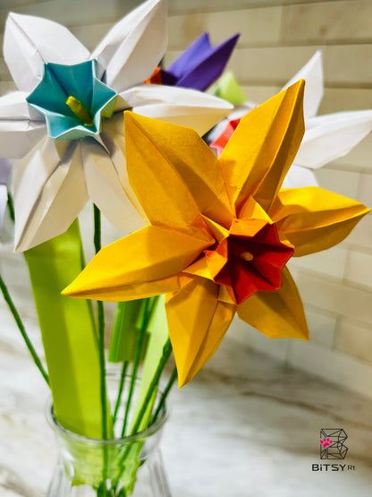 Narcissus