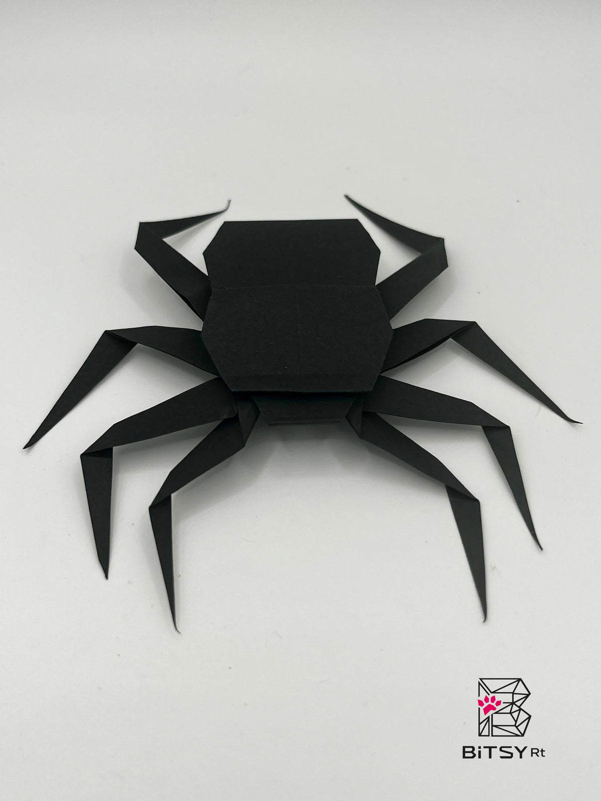 Handmade Origami Spider Set