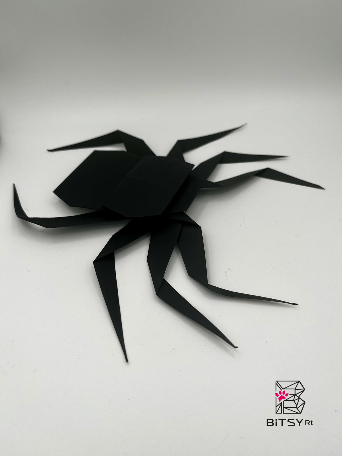 Handmade Origami Spider Set